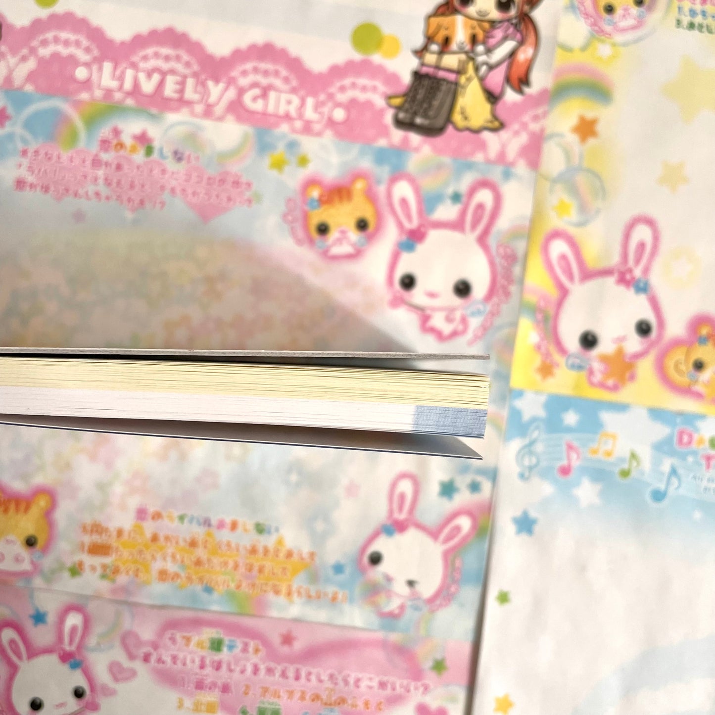 Usa Chu Land Memo Pad