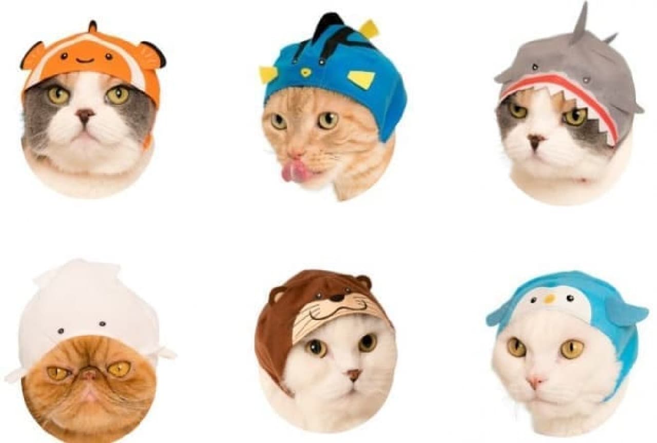 Cute Cute Cat Headgear Aquarium Ver.