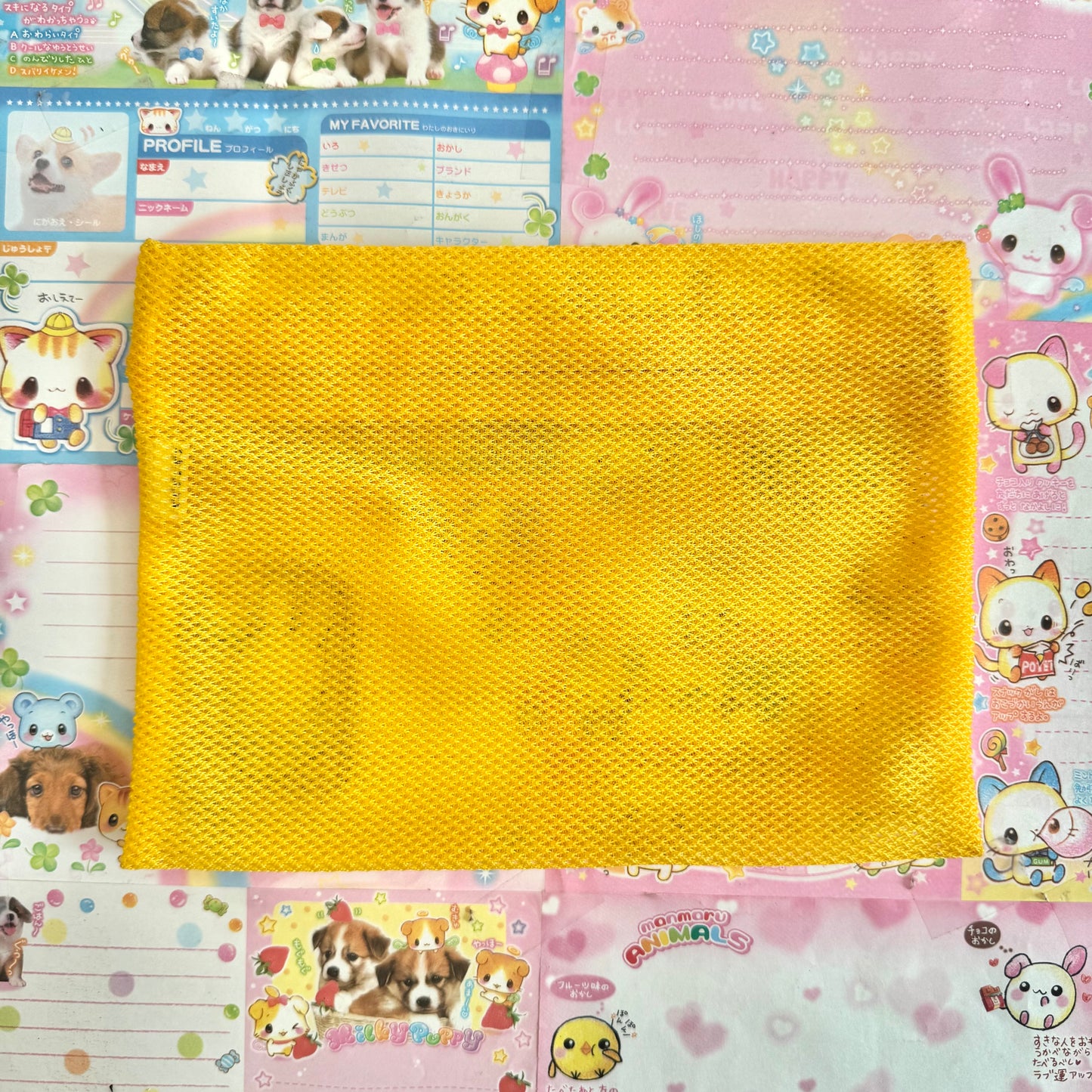 Miffy Apple Huis Ten Bosch Mesh Pouch