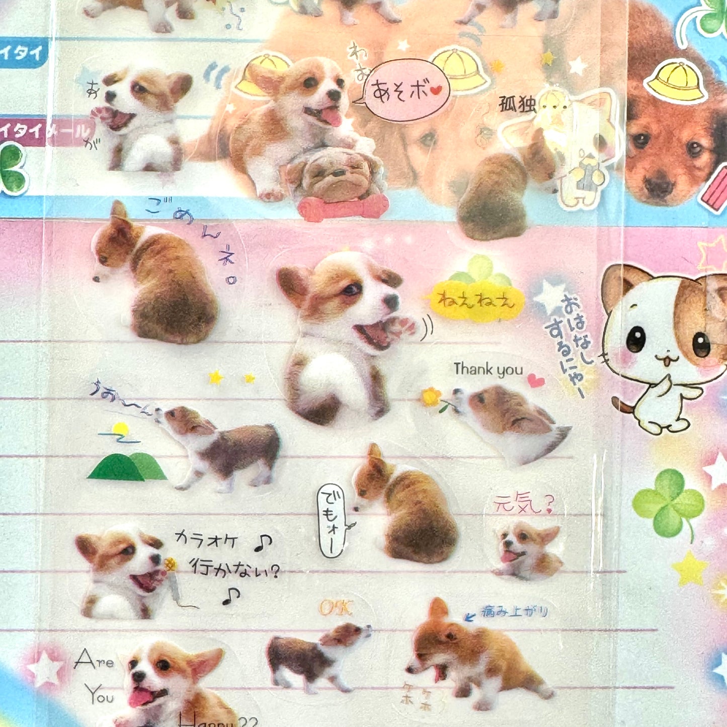 Dog Seal Collection Clear Sticker Sheet
