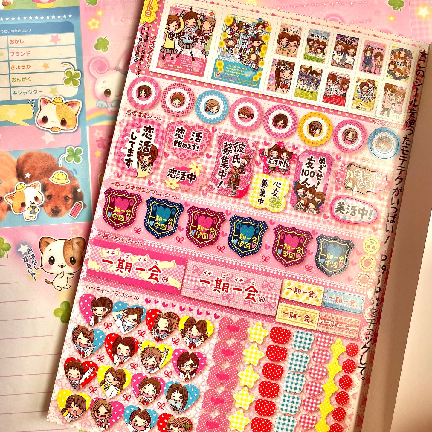 Once in a Lifetime Chance Little Notebook & Sticker Book