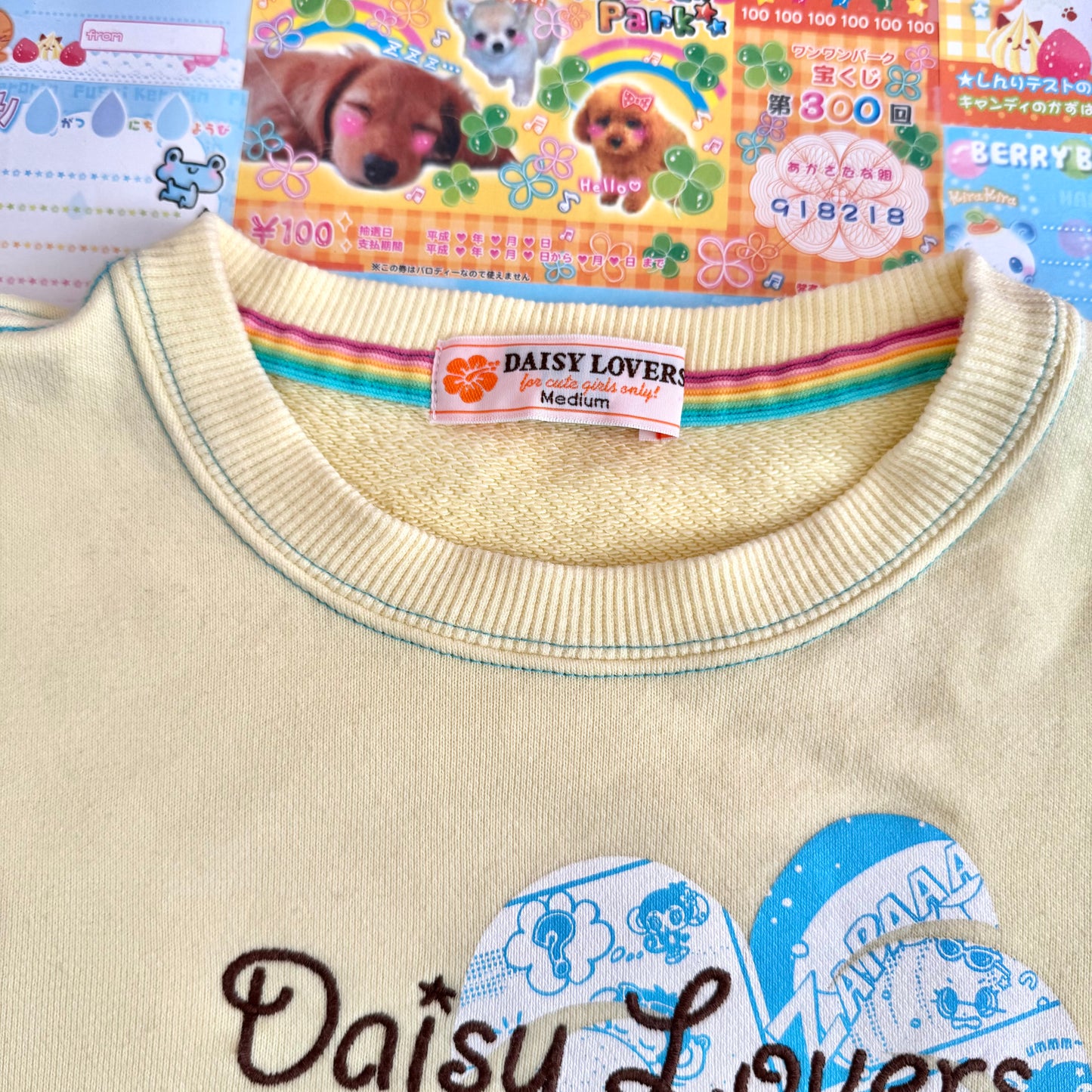 Daisy Lovers ♡ Long Sleeve Jumper