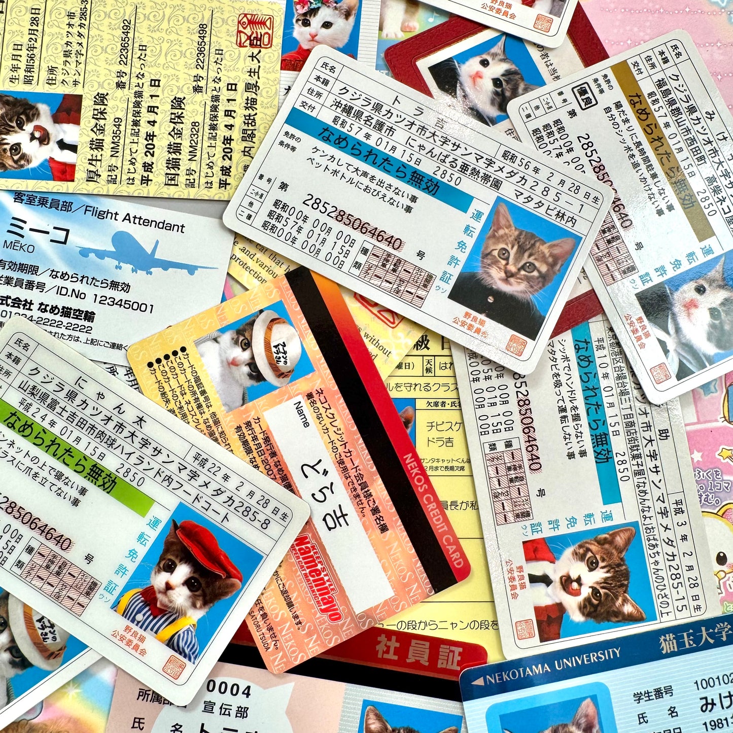 ★Lucky Draw★ Cat ID Cards