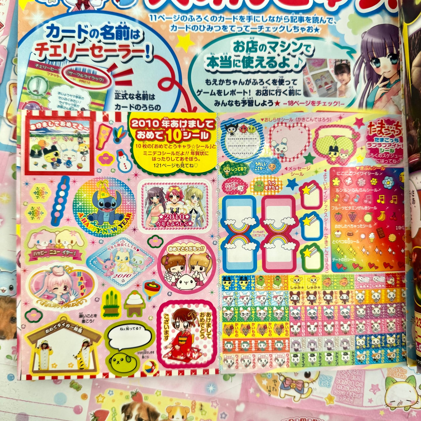 Pucchigumi Magazine ♡ 2009 January Issue