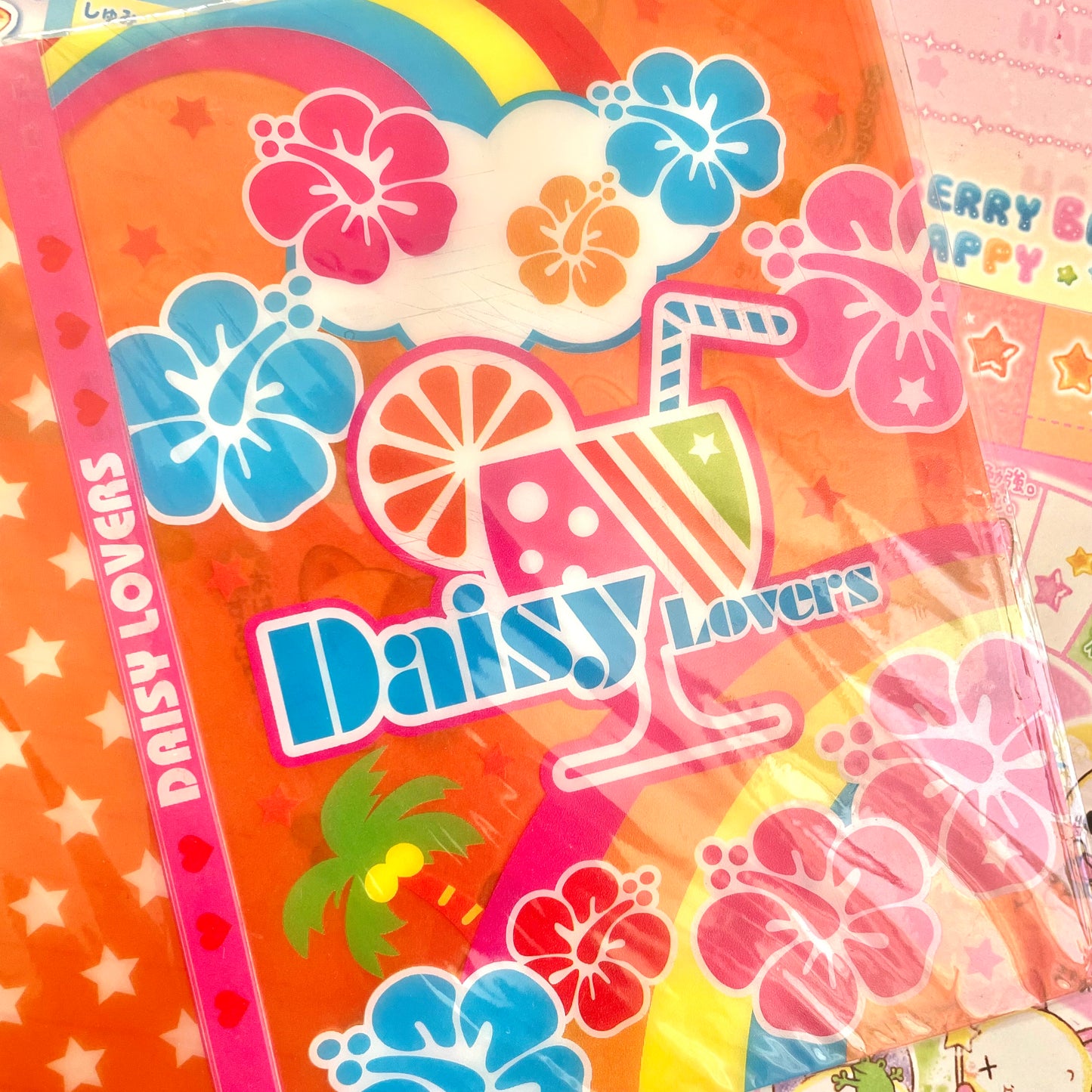 DAISY LOVERS Mini Clear File