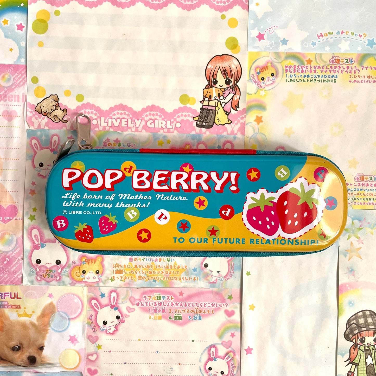 Pop Berry! Can Pencil Case