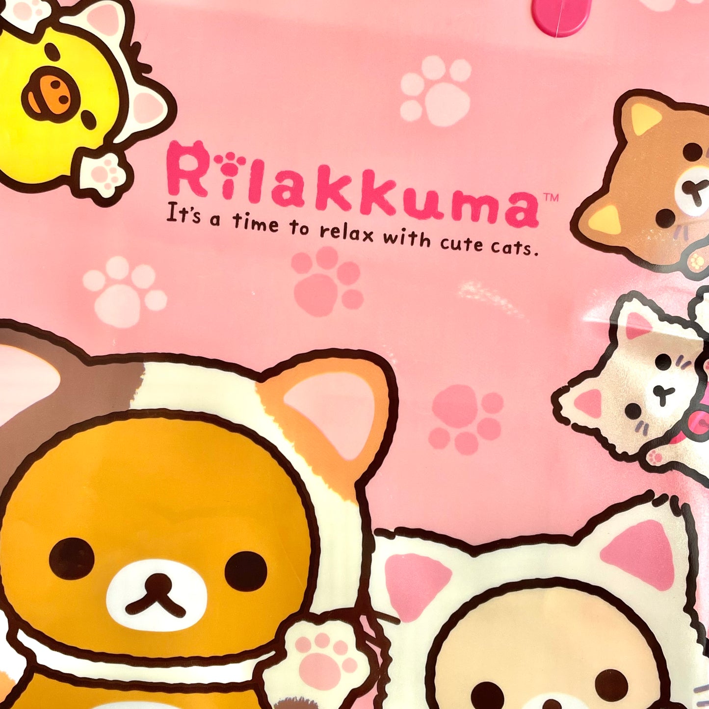 Rilakkuma Relaxing Cat Theme Vinyl Gift Bag