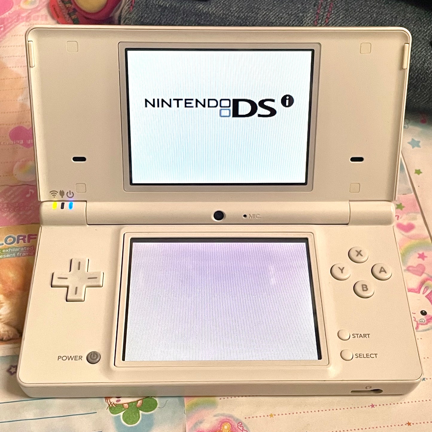 Nintendo DSi Bundle