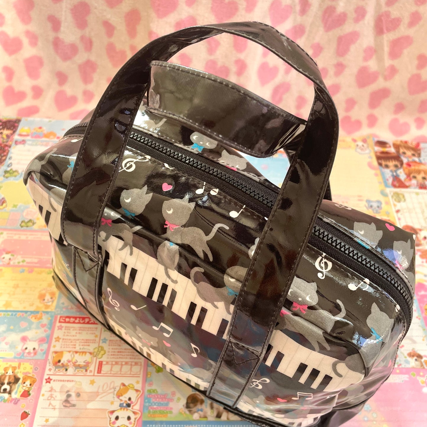 Piano & Cats Vinyl Bag