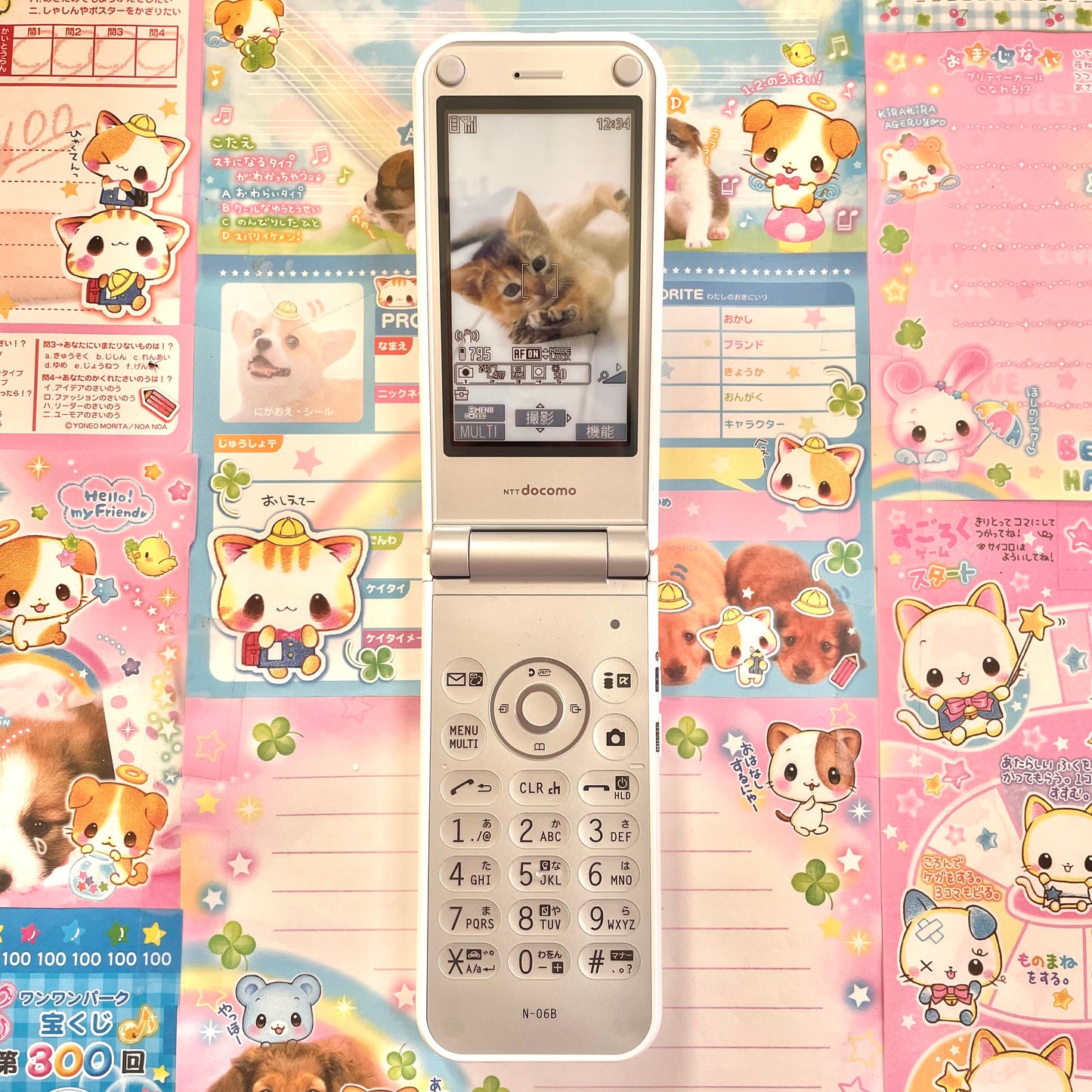 Kitty Prototype Flip Phone