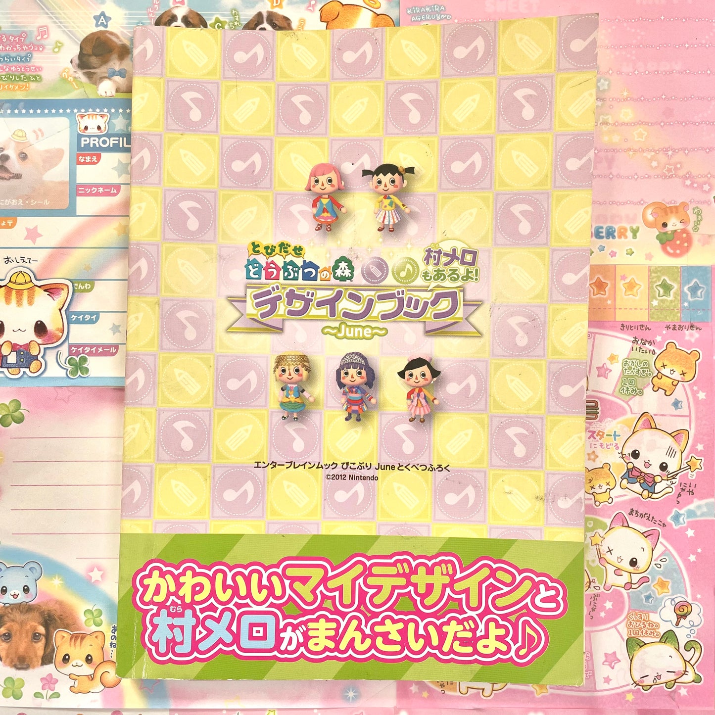 2012 Animal Crossing: New Leaf - Design Book ~June~