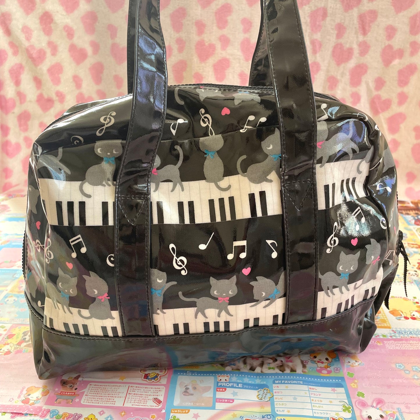 Piano & Cats Vinyl Bag