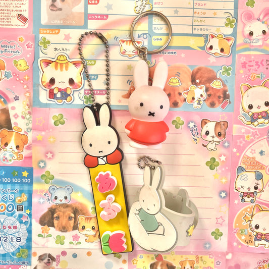 Miffy Keychain Assorted Set